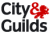 City & Guilds Qualified Plasterers