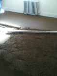 Screeding Image 3